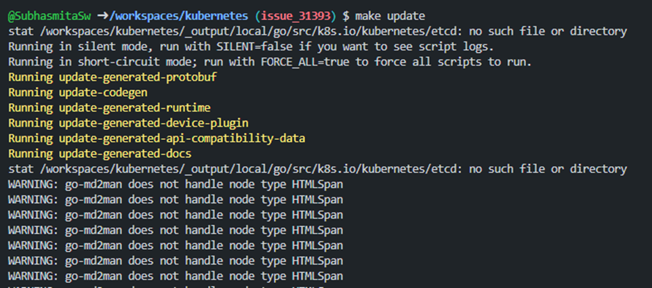 codespaces error output