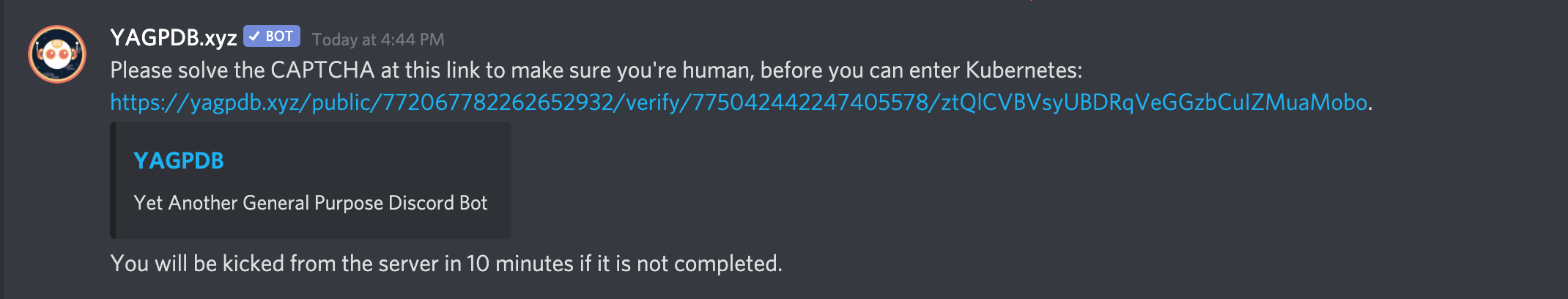 Direct message received from Discord verification bot